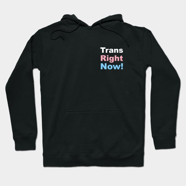 Trans Right Now! Transgender Rights Hoodie by Irene Koh Studio